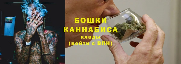 СК Краснослободск