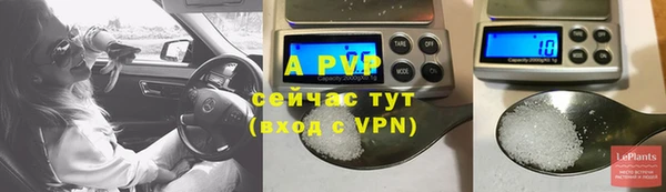 ECSTASY Баксан