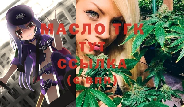 тгк Ладушкин