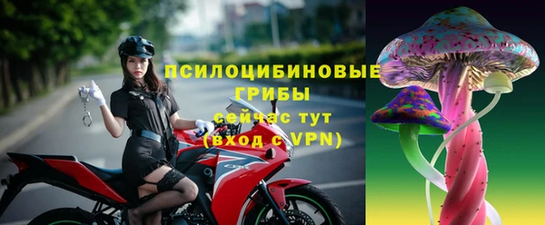 тгк Ладушкин