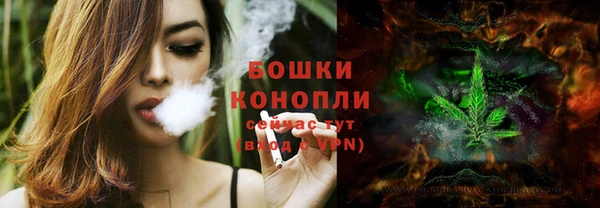 СК Краснослободск